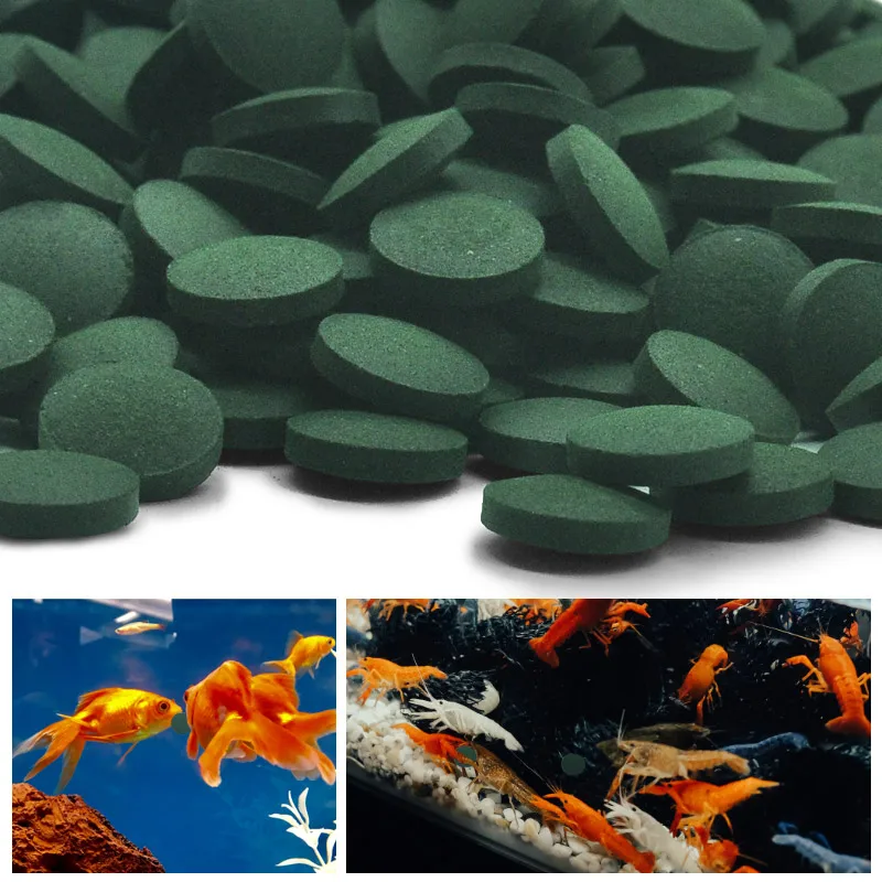 Marine Aquarium Bacteria - 100 قطعة أقراص سبيرولينا عالية النقاء