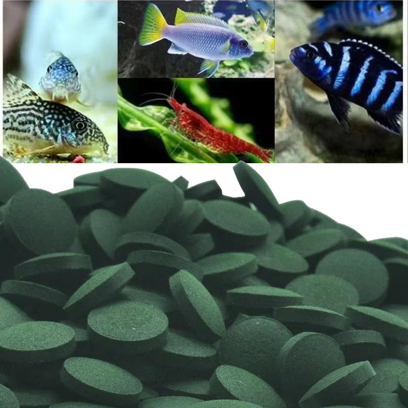 Marine Aquarium Bacteria - 50/100/300/500 قطعة أقراص سبيرولينا دوامة الأعشاب