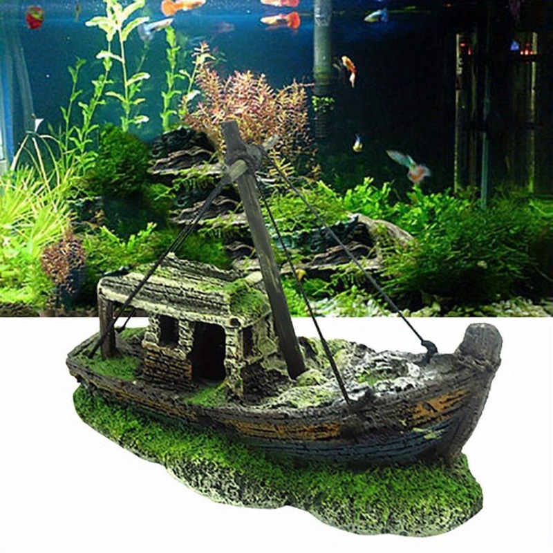Aquarium Marina - حوض السمك خزان الأسماك المشهد حطام