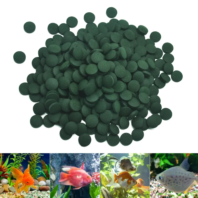 100 قطعة أقراص سبيرولينا عالية - مراجعة Marine Aquarium Bacteria وسعره