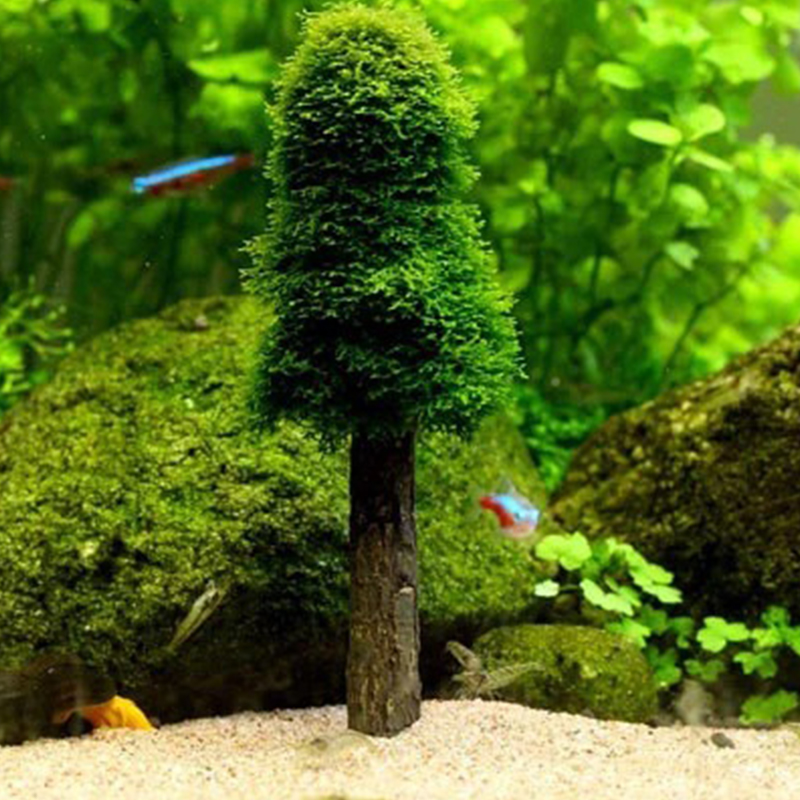 حوض السمك الديكور محاكاة ، عيد - مراجعة Aquarium Marina وسعره
